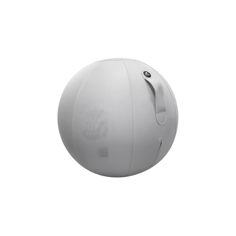 Ballon ergonomique ERGOBALL gris clair