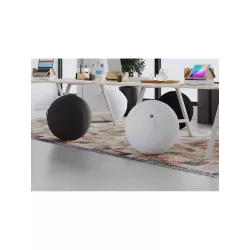 Ballon ergonomique ERGOBALL bouclette blanc